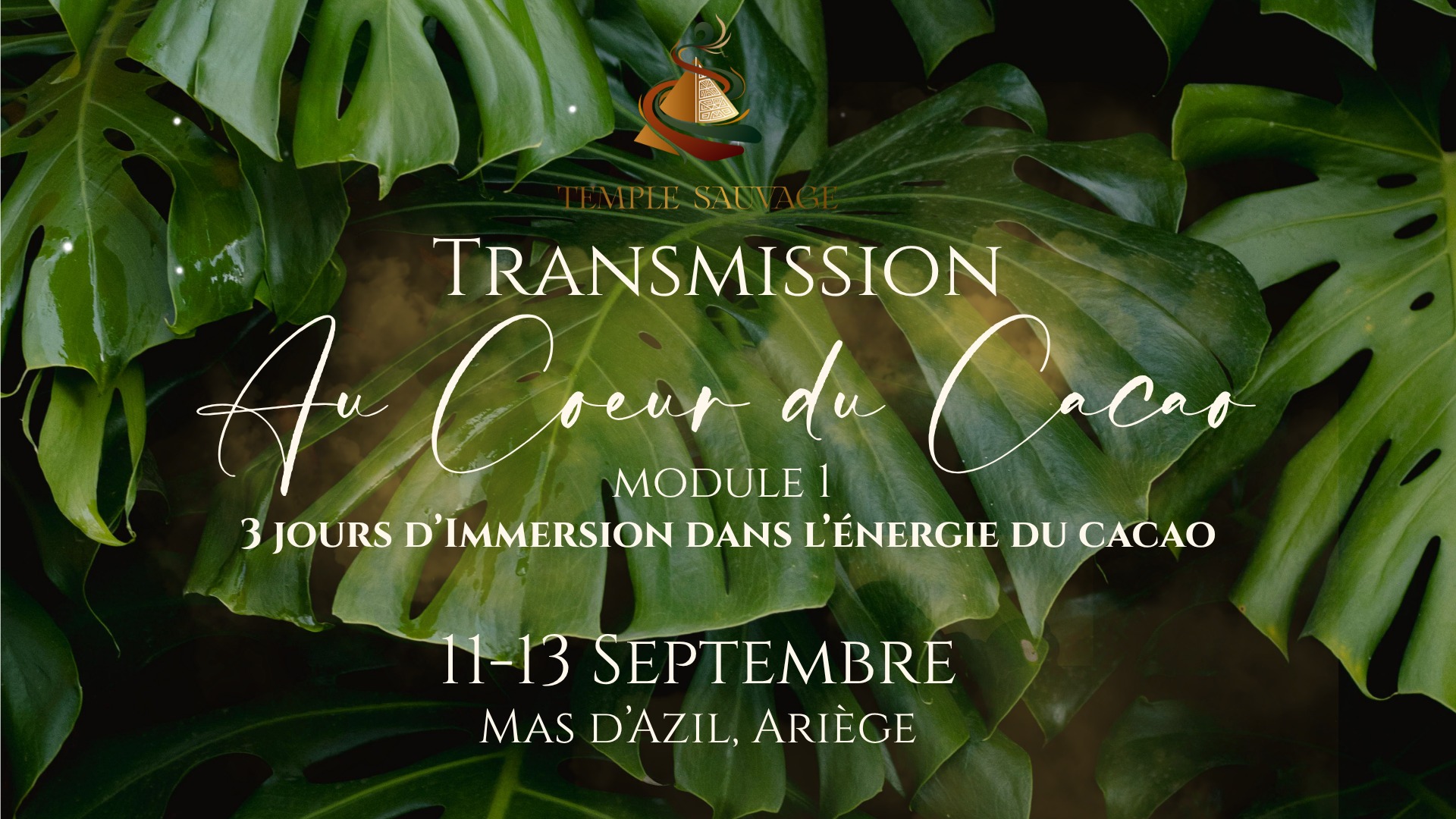 🌿 Transmission — Au Cœur du Cacao 🌿