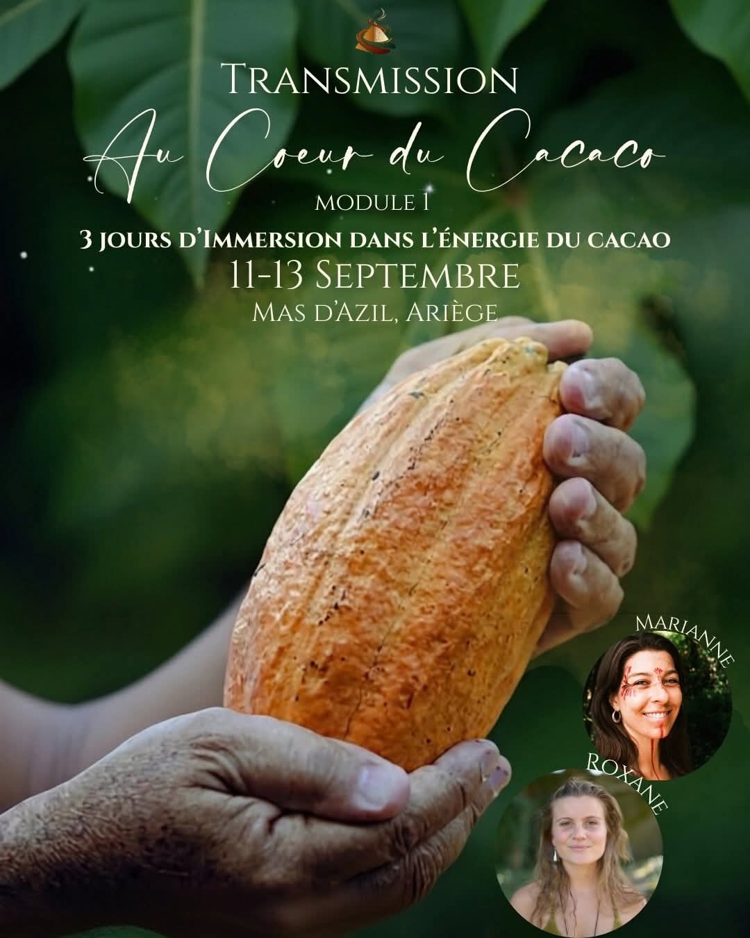 🌿 Transmission — Au Cœur du Cacao 🌿 - 2