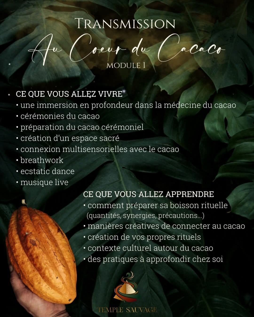 🌿 Transmission — Au Cœur du Cacao 🌿 - 3