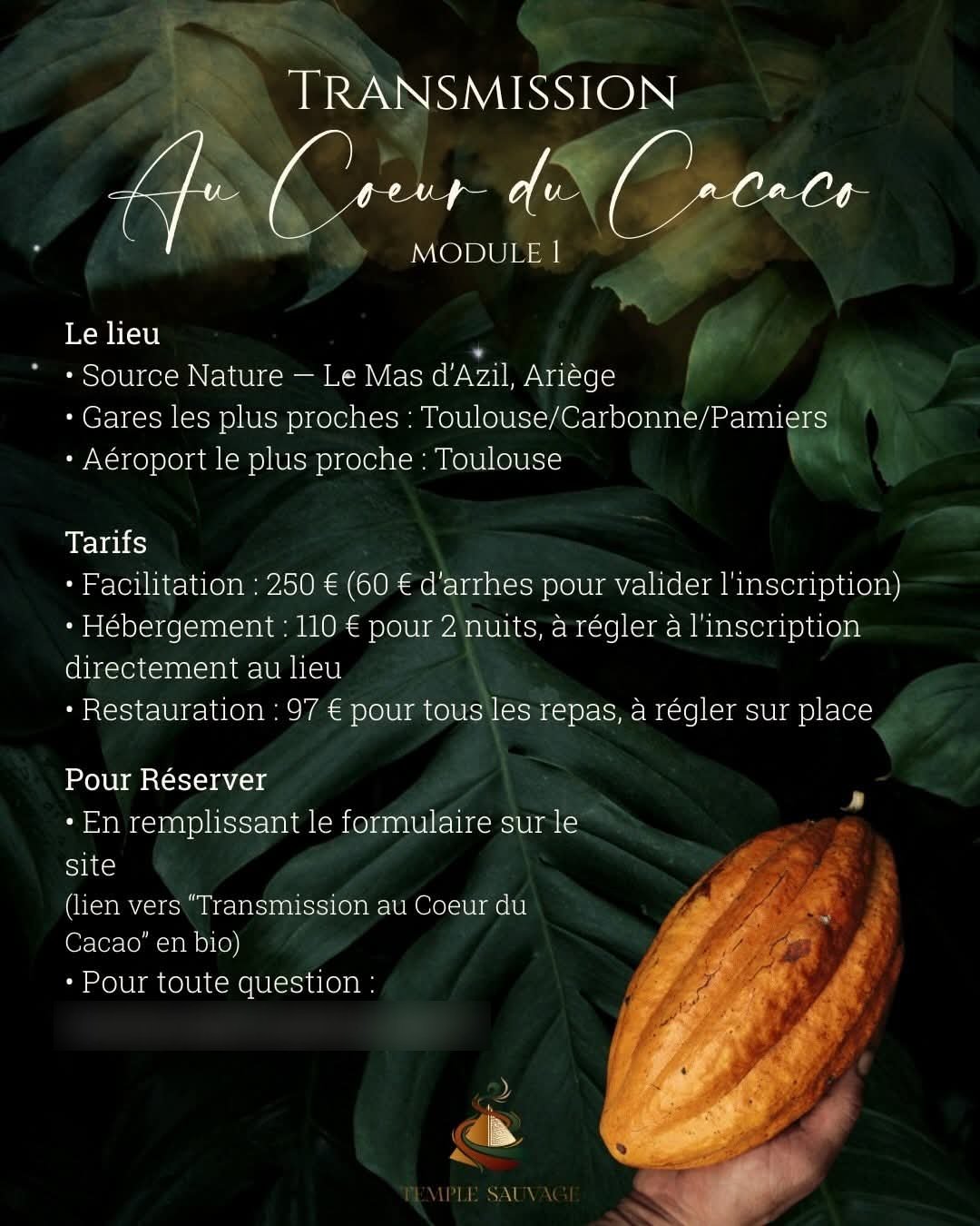 🌿 Transmission — Au Cœur du Cacao 🌿 - 4