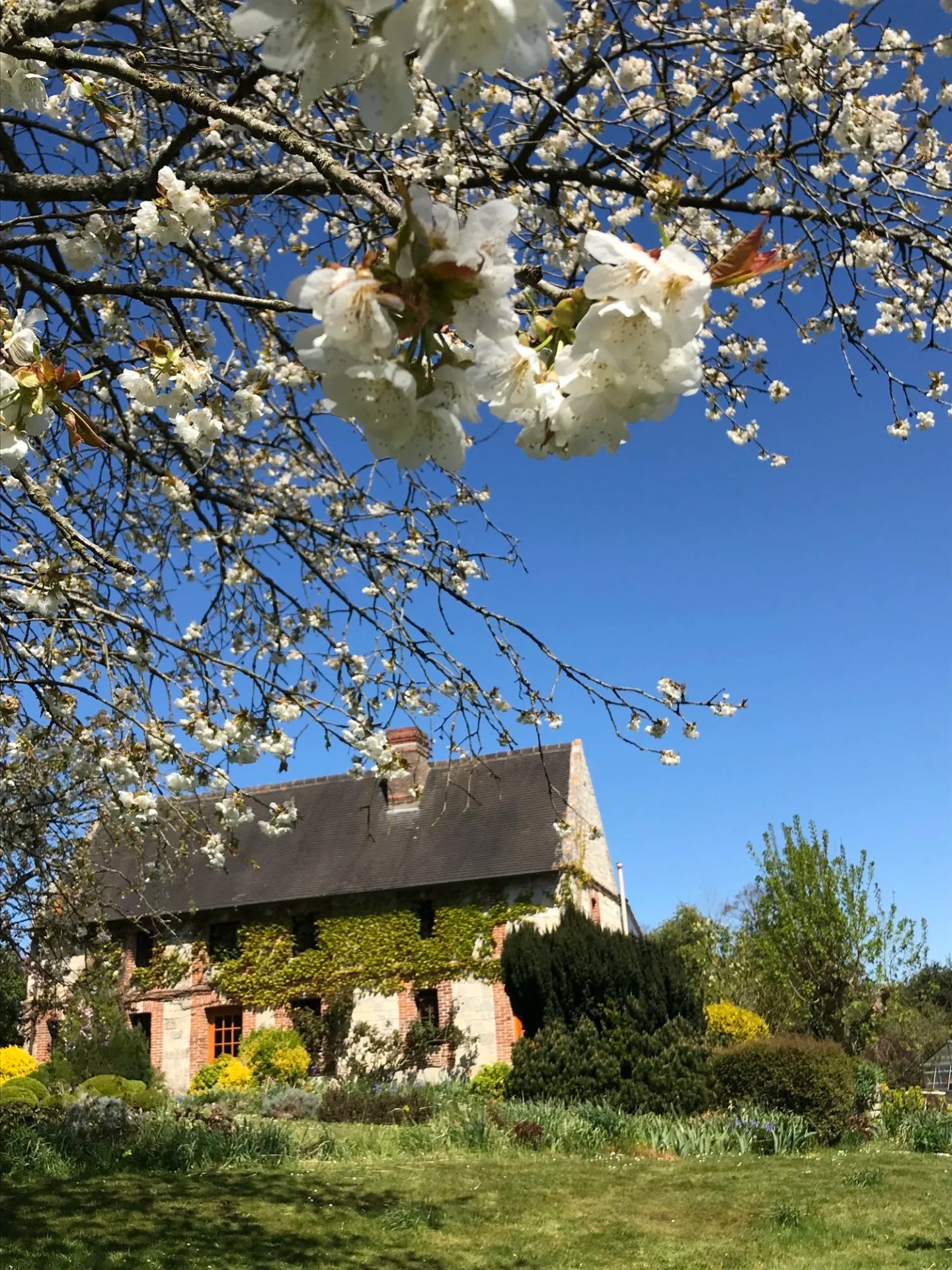 Week-end Yoga Vinyasa Normandie - 4