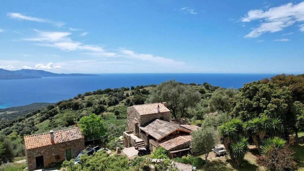 Stage de Yoga Vinyasa en Corse - 4