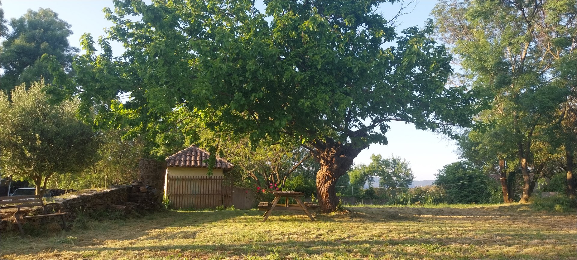 Lieu d'accueil 1