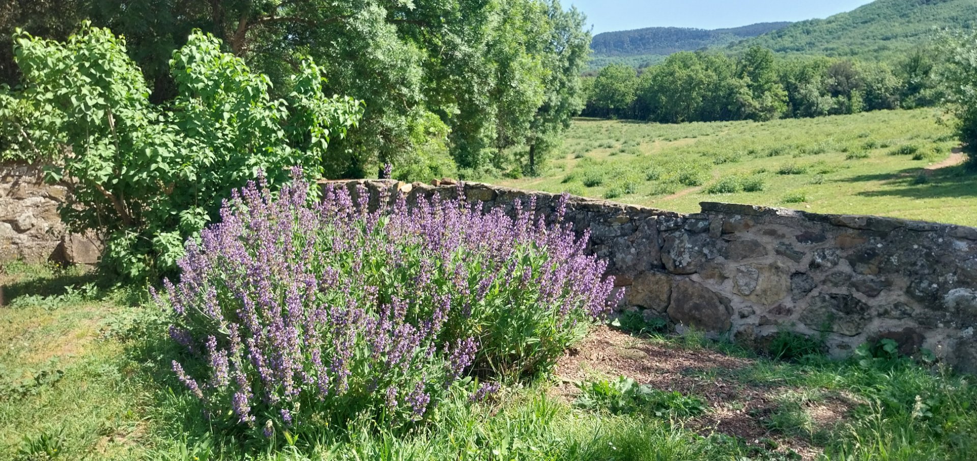 Lieu d'accueil 4