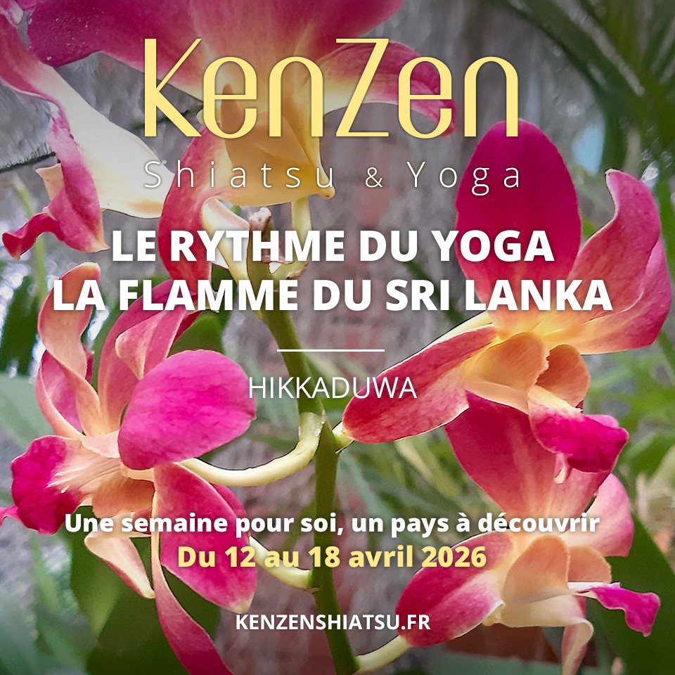 Image de couverture pour KenZen Shaitsu & Yoga
