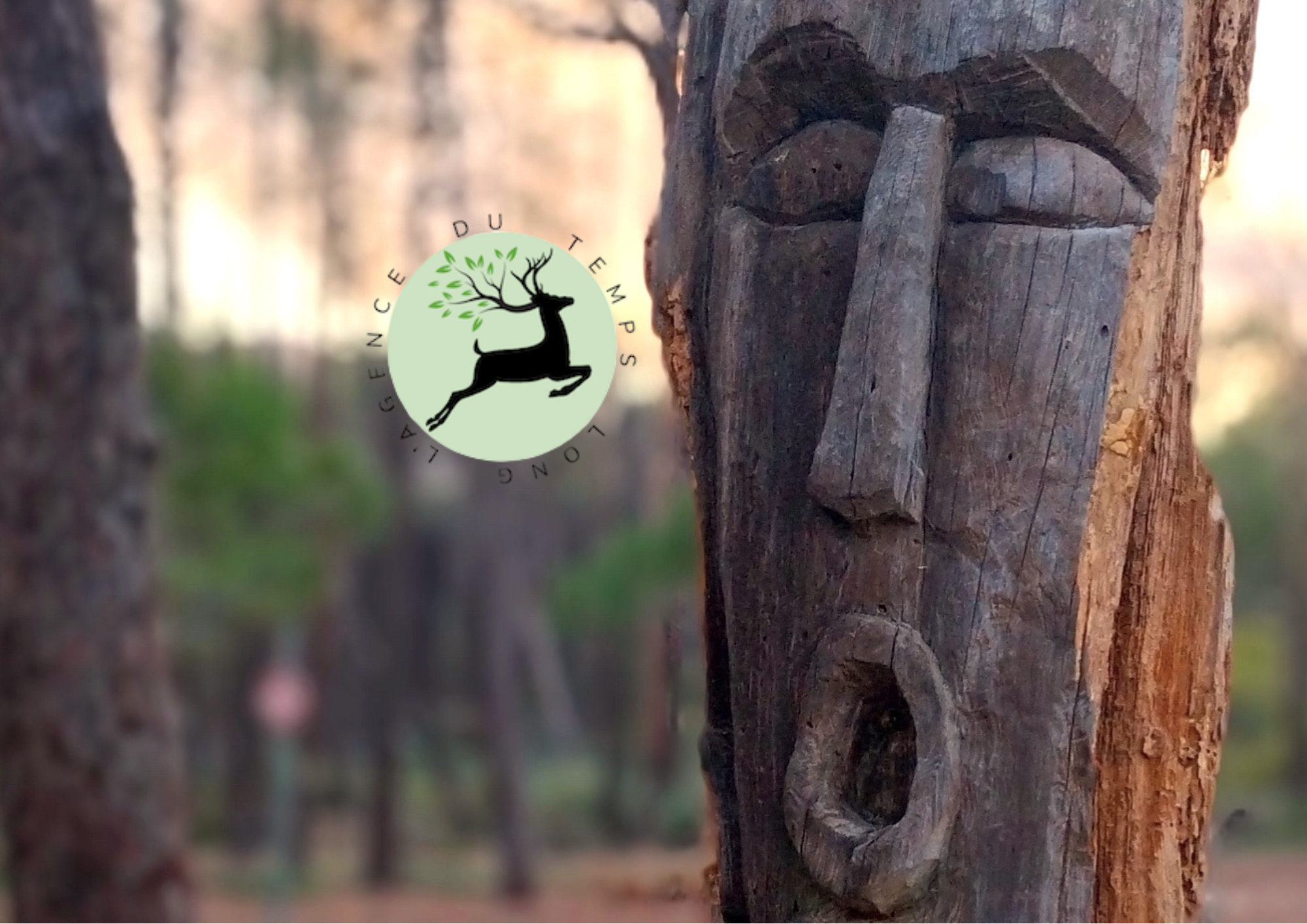 Image de couverture pour l'agence du temps long