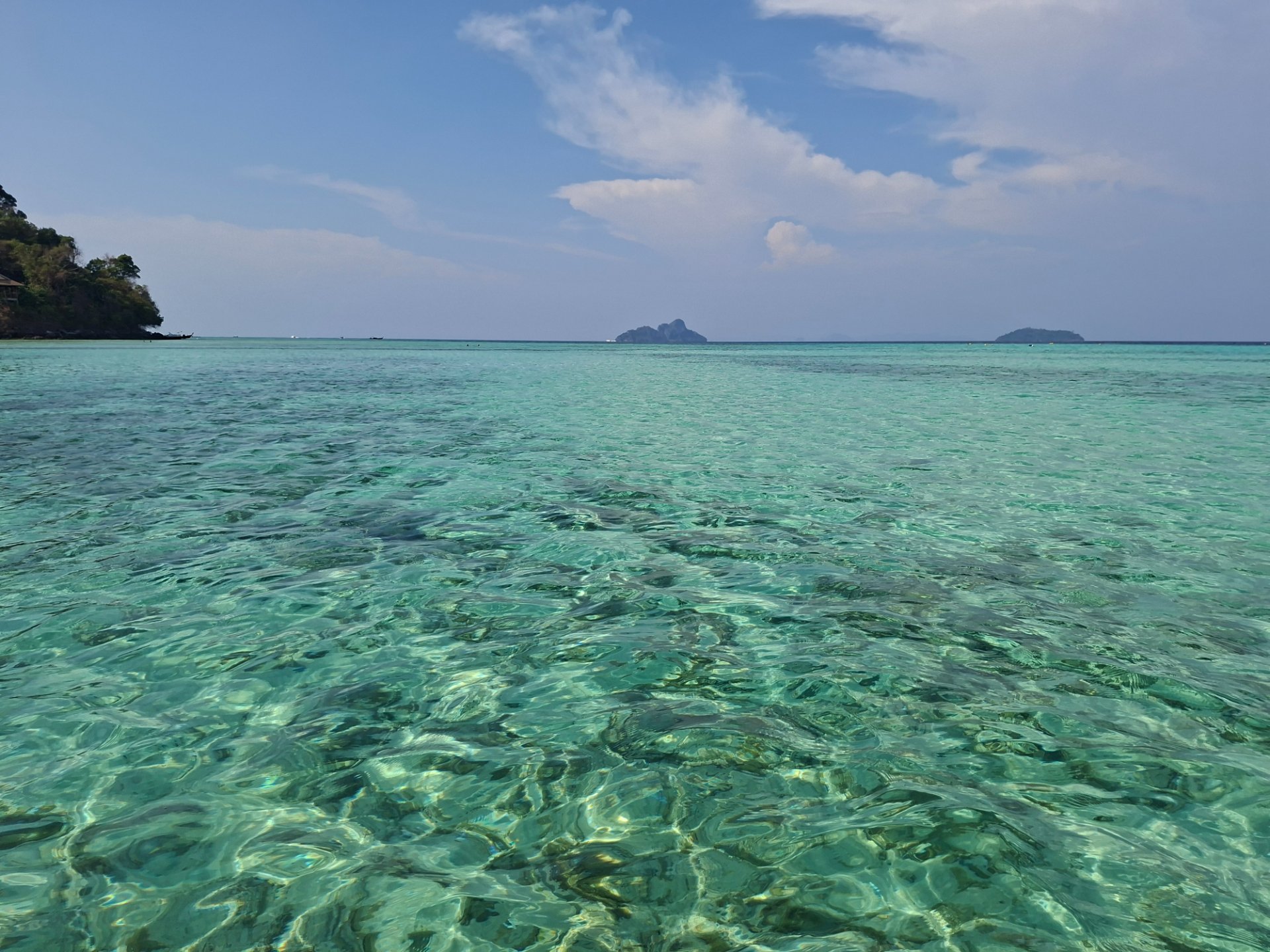 Image de couverture pour Régis Motte 