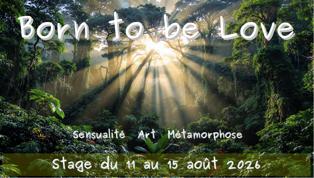 Image de couverture pour L'atelier de Bellier