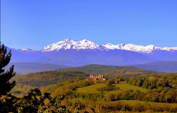 Lieu "L'Abeille Vie" - Photo 7 sur 10