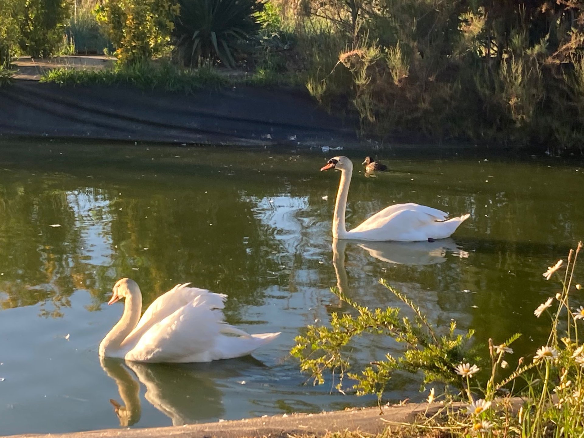 Domaine de la Forêt - Photo 6 sur 10