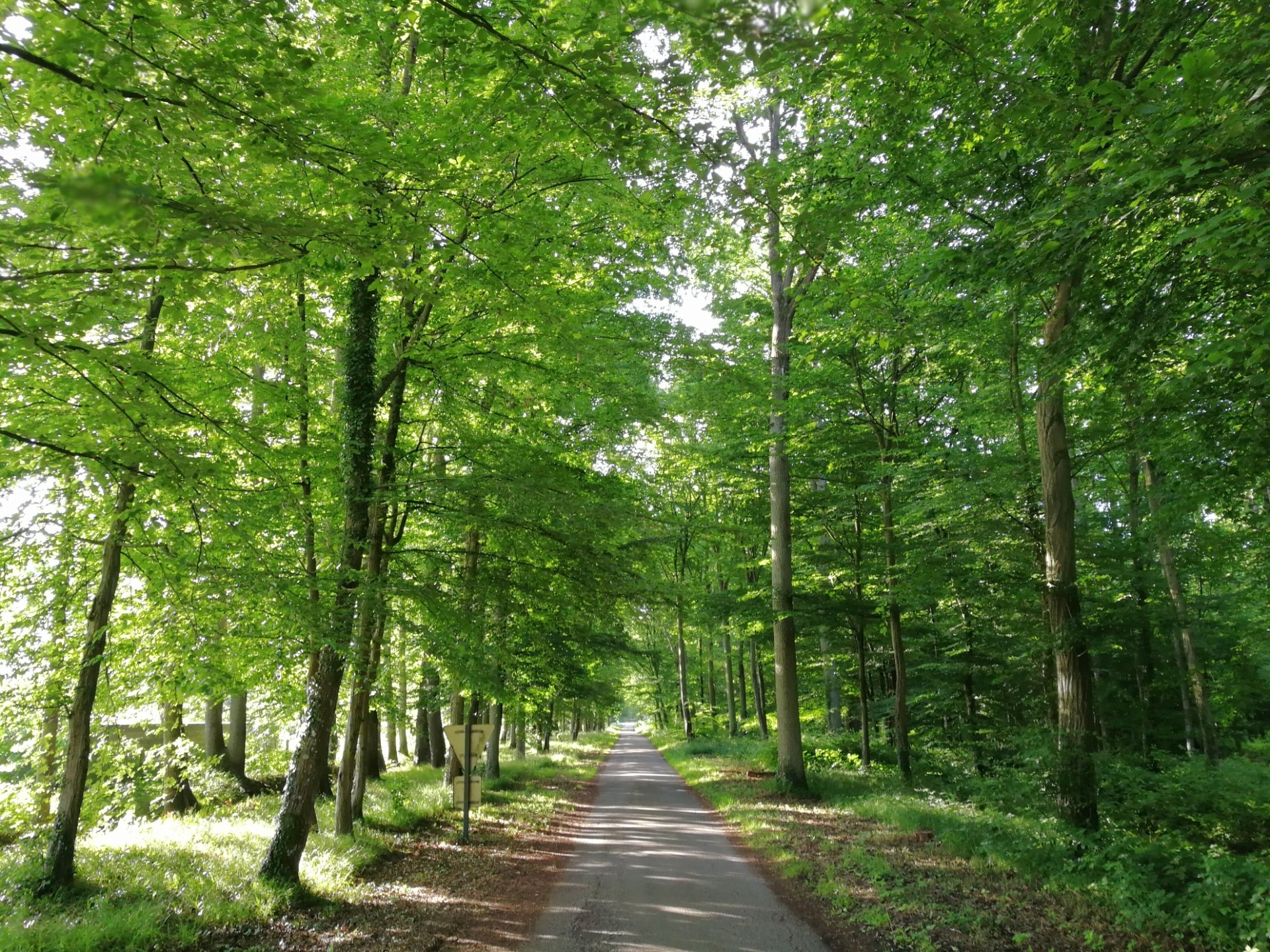 Domaine de la Forêt - Photo 7 sur 10