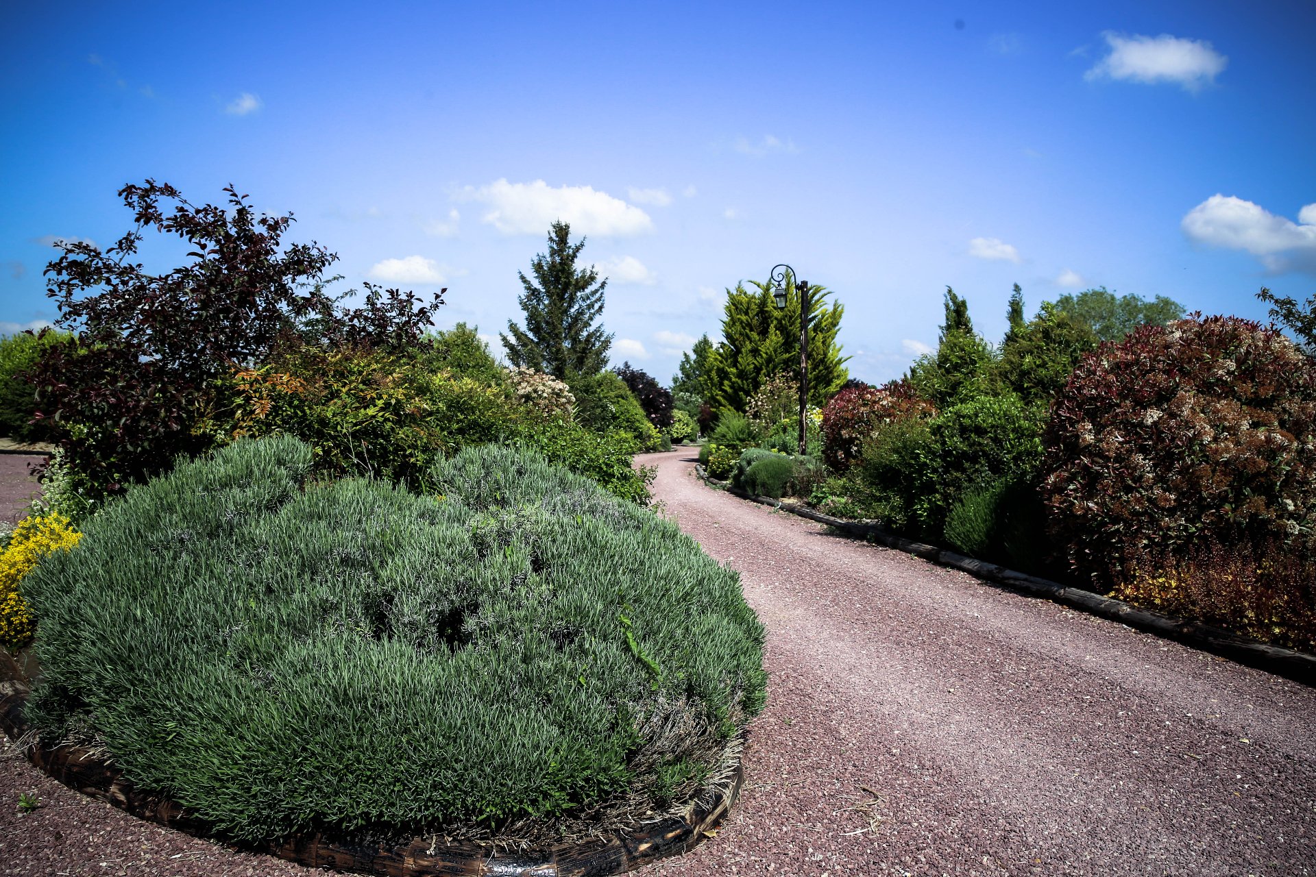 Domaine de la Forêt - Photo 10 sur 10