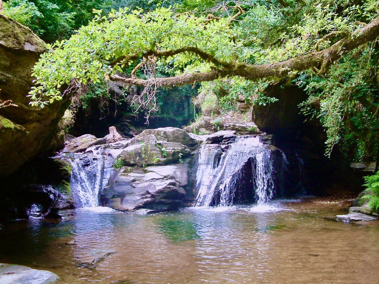 Les Chemins de la Frayssinette - Photo 9 sur 10