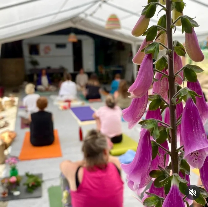 Maison Shanti - Photo 4 sur 10