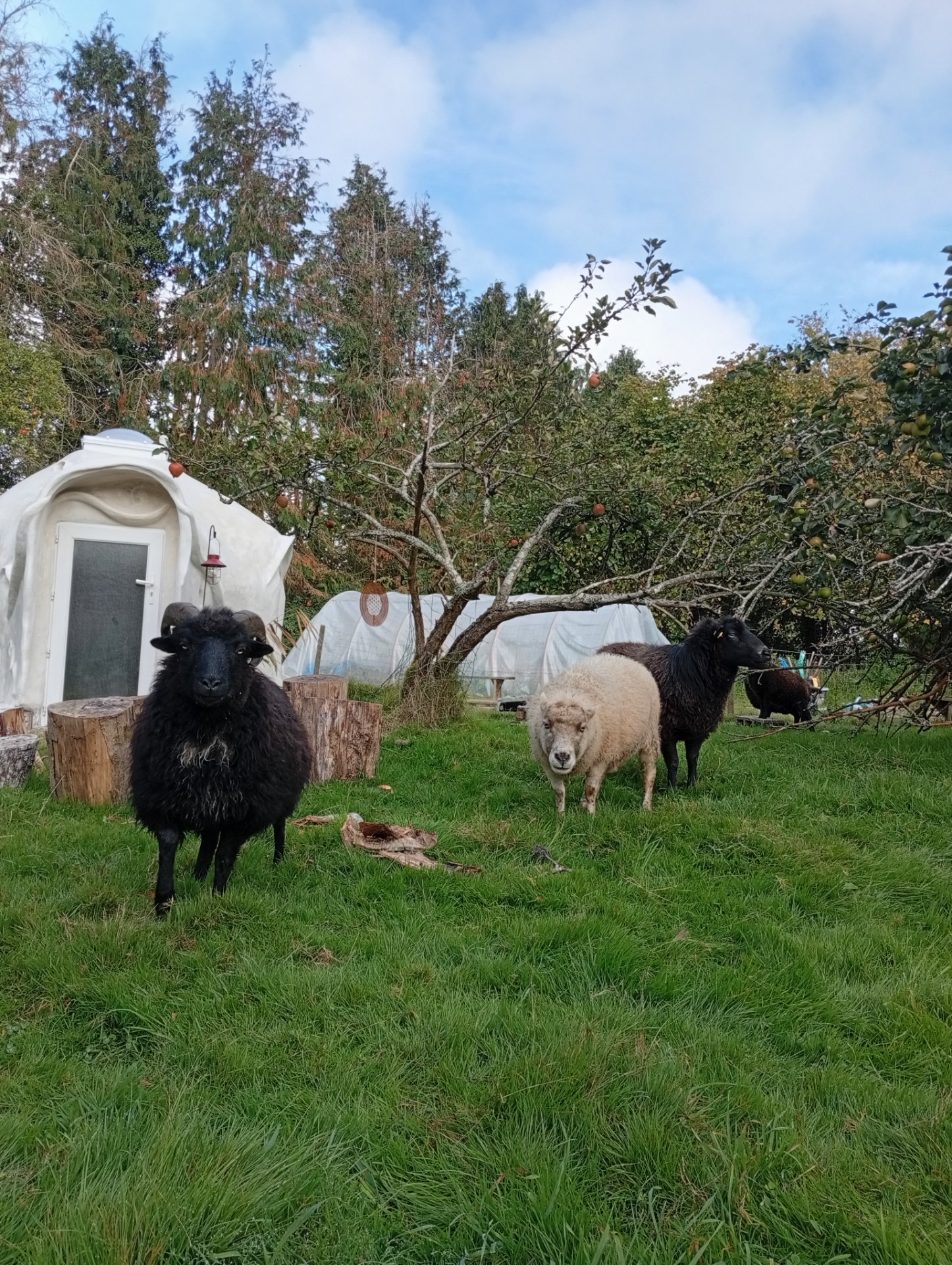 Maison Shanti - Photo 10 sur 10