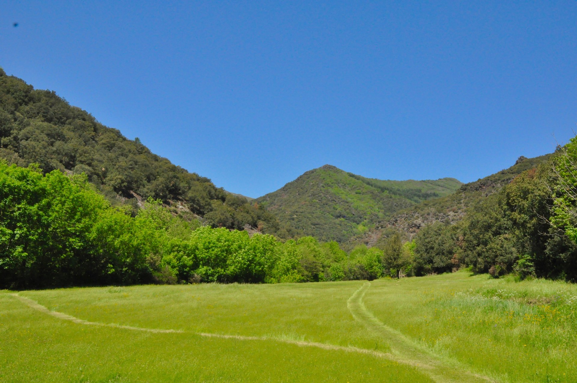 Gardoussel - Photo 2 sur 10