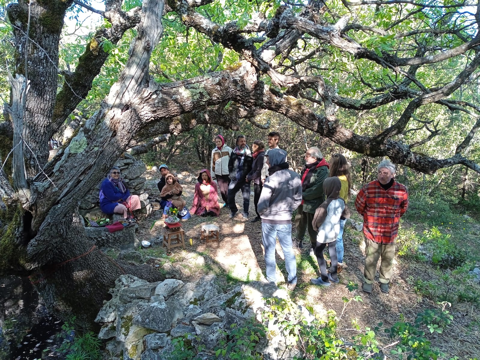 L'Archipel des Coustètes - Photo 8 sur 8