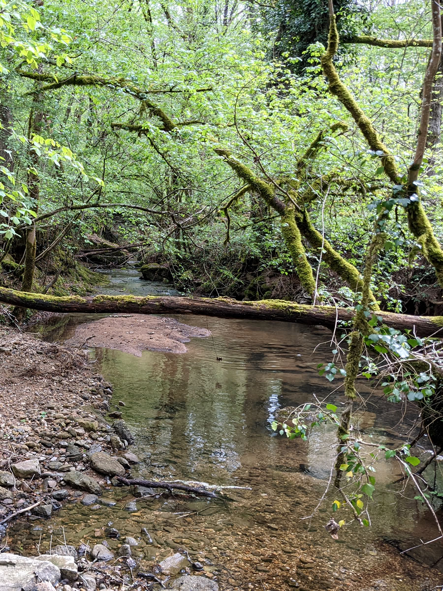 Le Champ des Murmures - Photo 2 sur 7