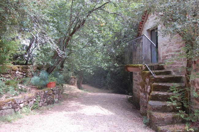 Le Champ des Murmures - Photo 3 sur 7