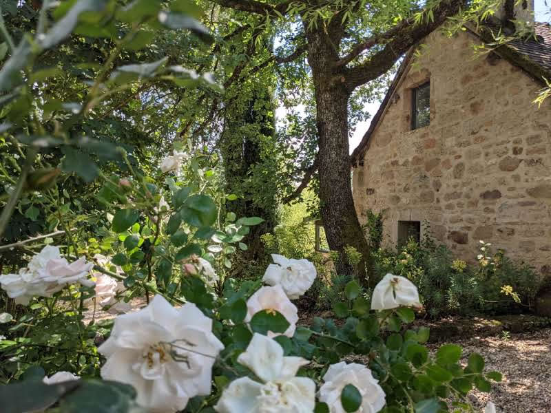 Le Champ des Murmures - Photo 4 sur 7