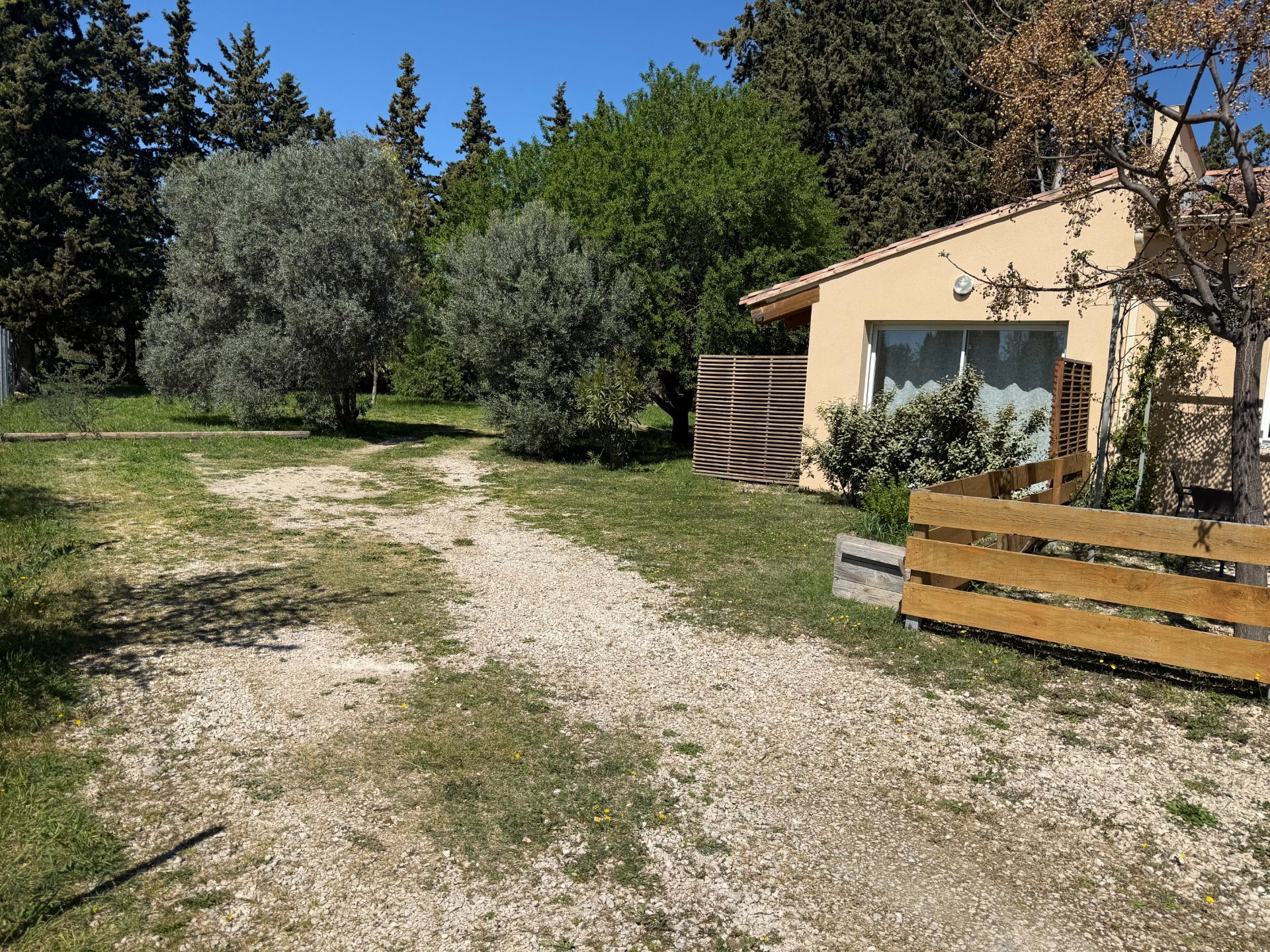 L’amandier enchanté