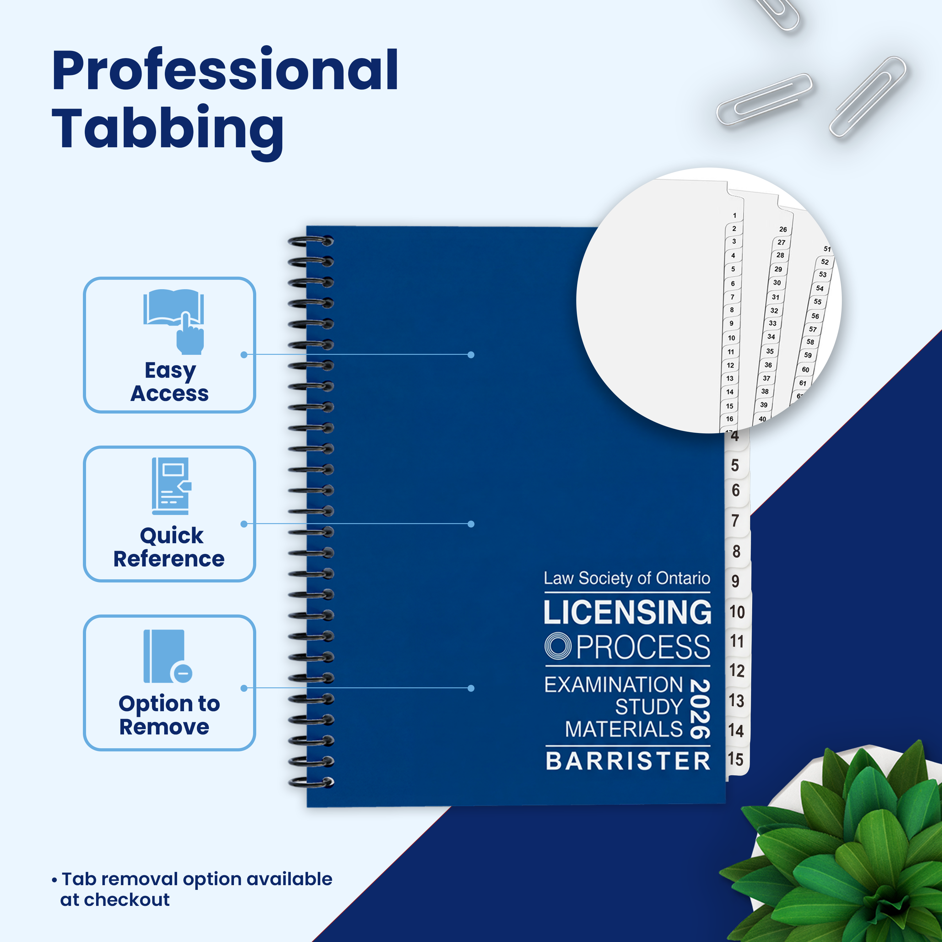 Close-up of professional tabbing for quick navigation.
