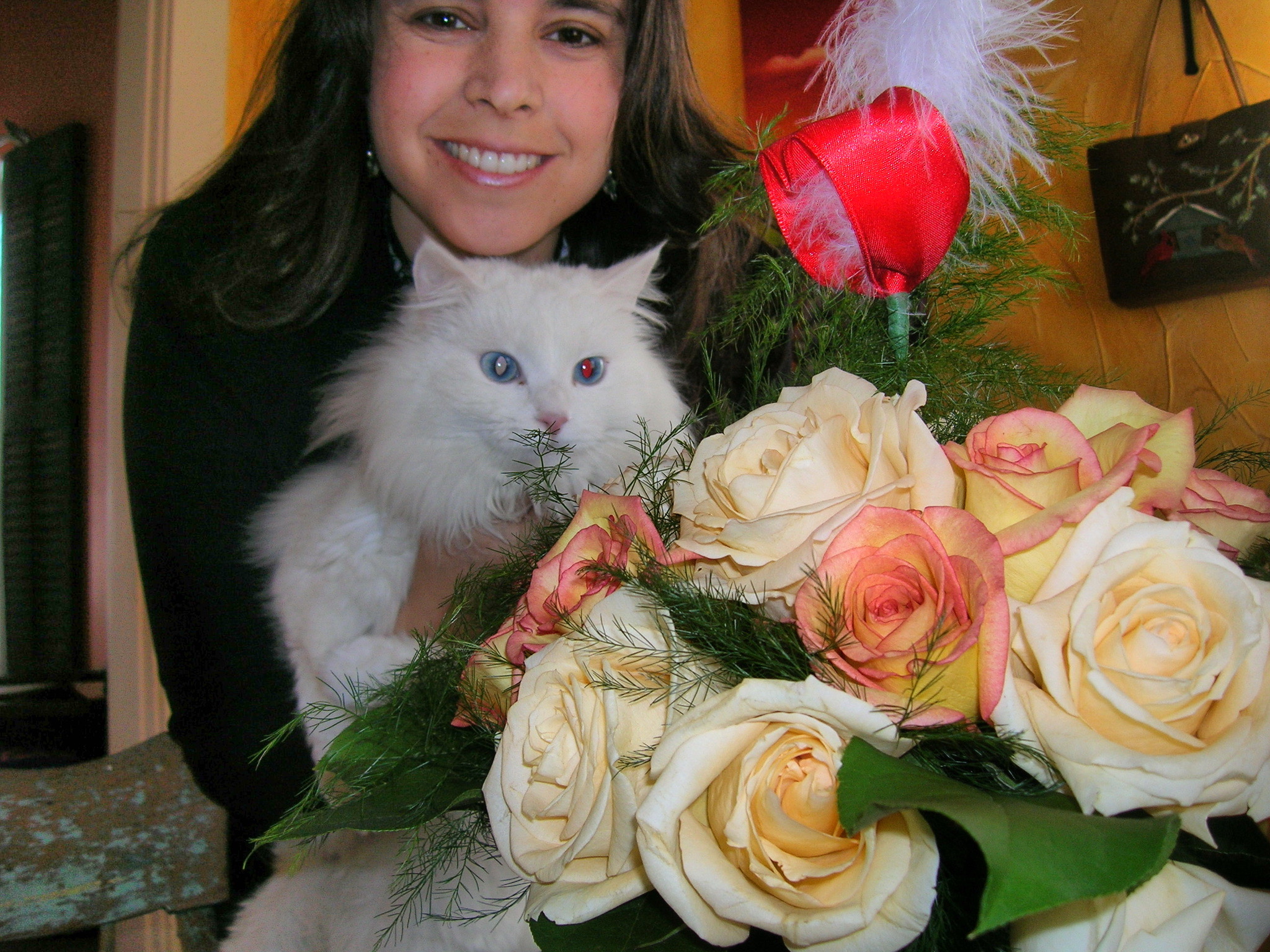 Portrait of Saundra, Co-Founder of the platform.