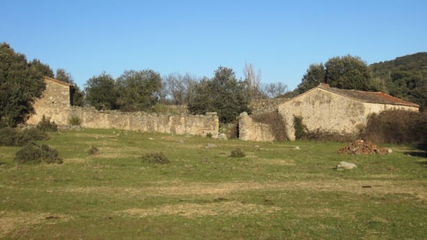 Molinos de cubo del Marrupejo