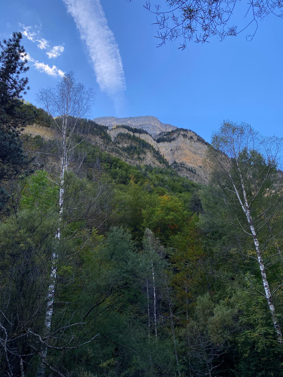 Faggeta