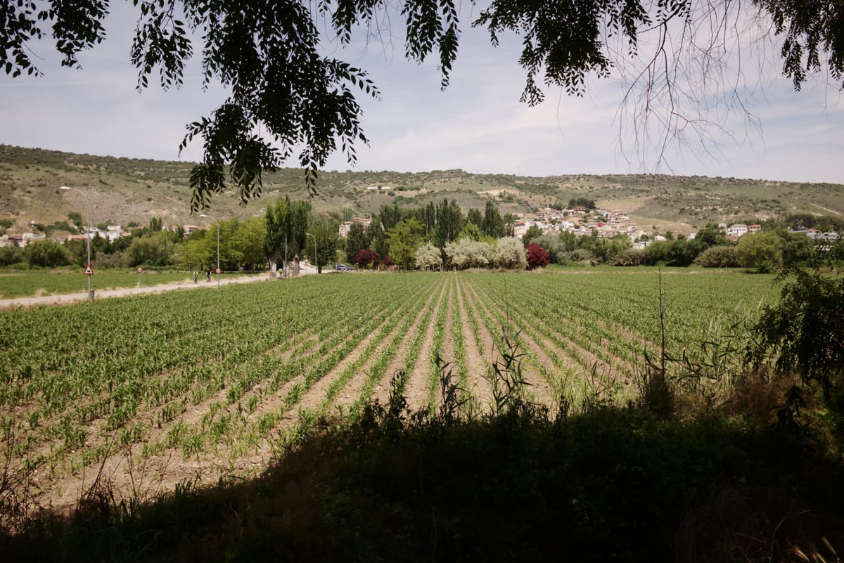 Arganda → Morata de Tajuña