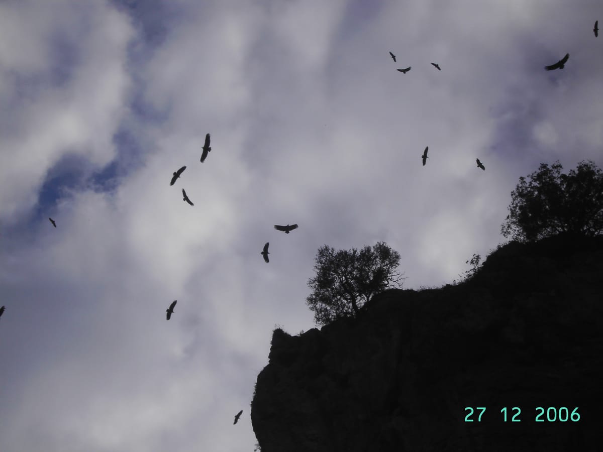 Vía Verde de la Sierra