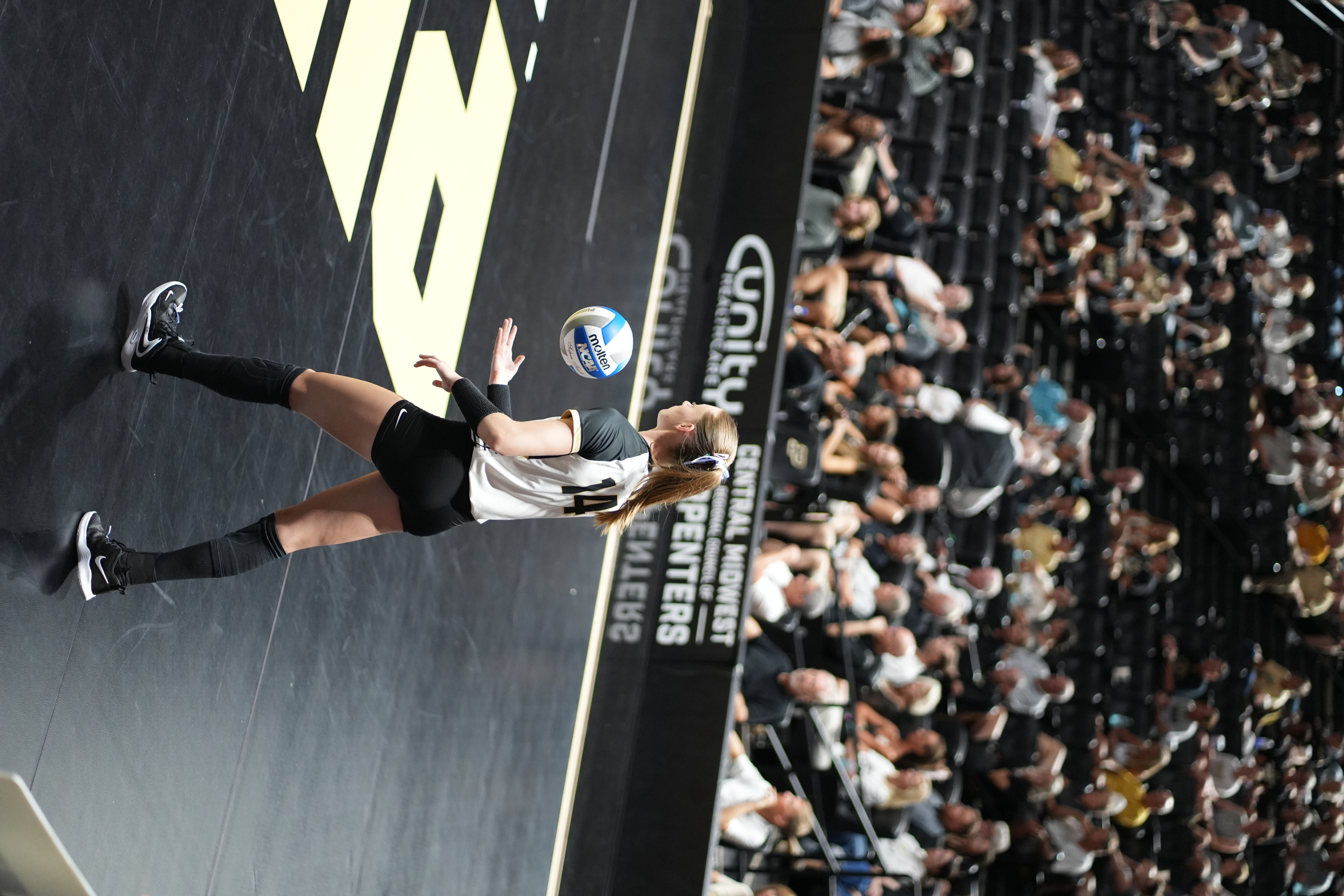 Purdue vs. Georgia, photograph 25