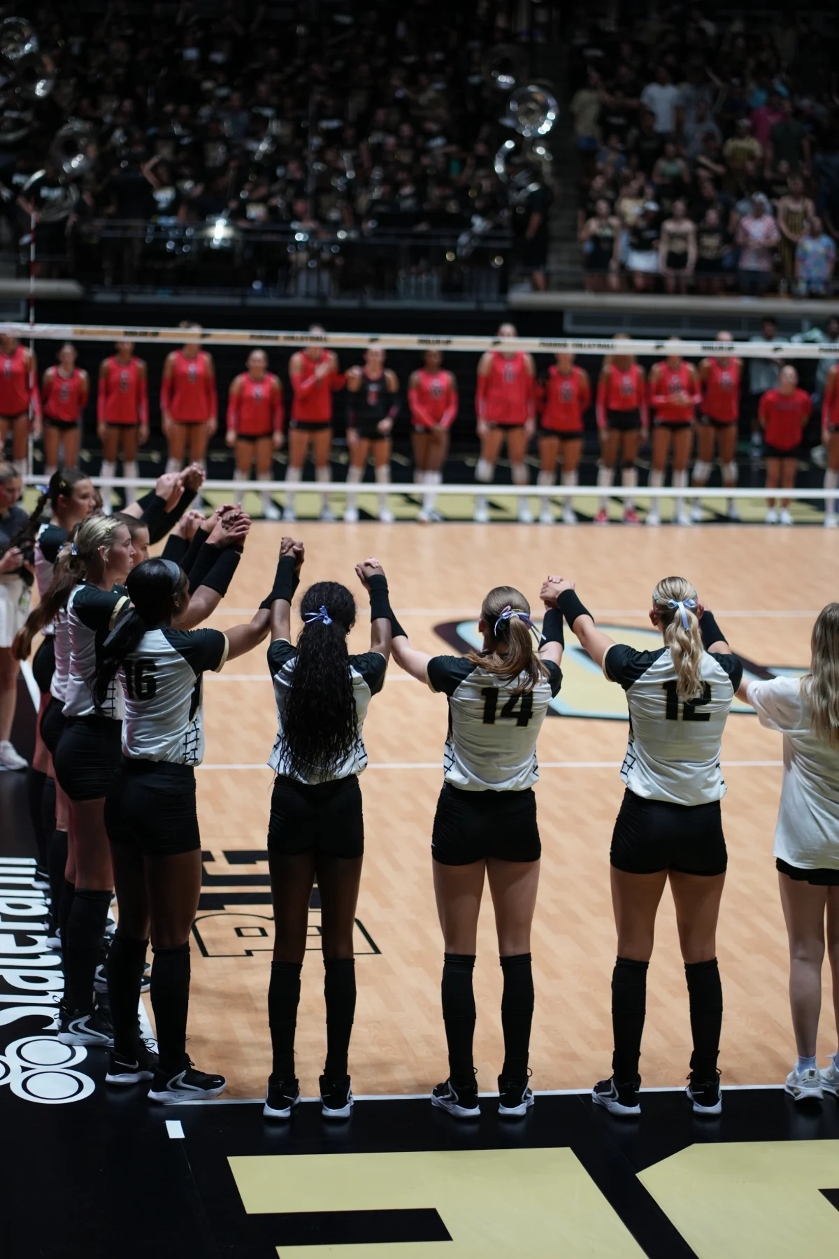 Purdue vs. Georgia, photograph 26