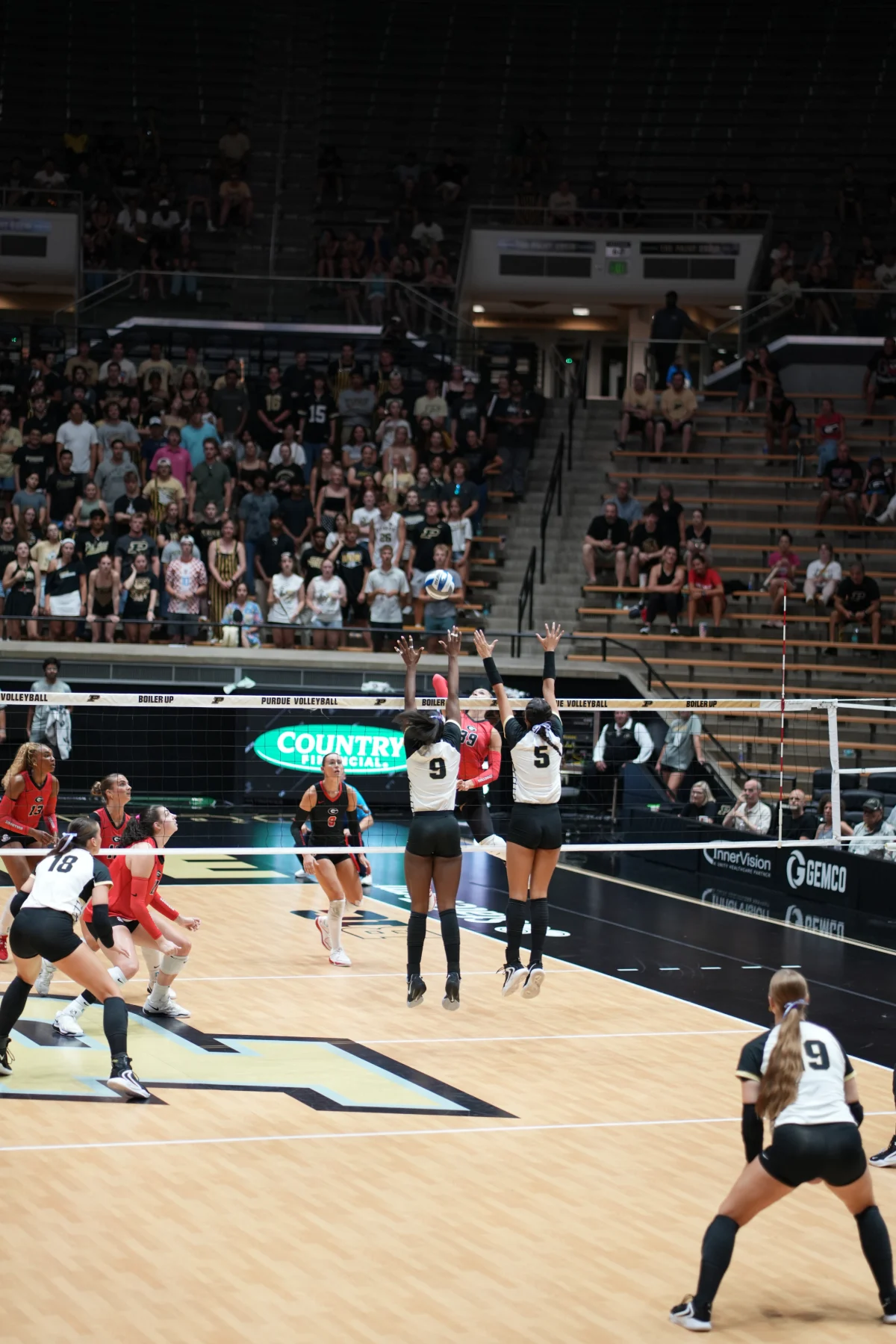 Purdue vs. Georgia, photograph 9