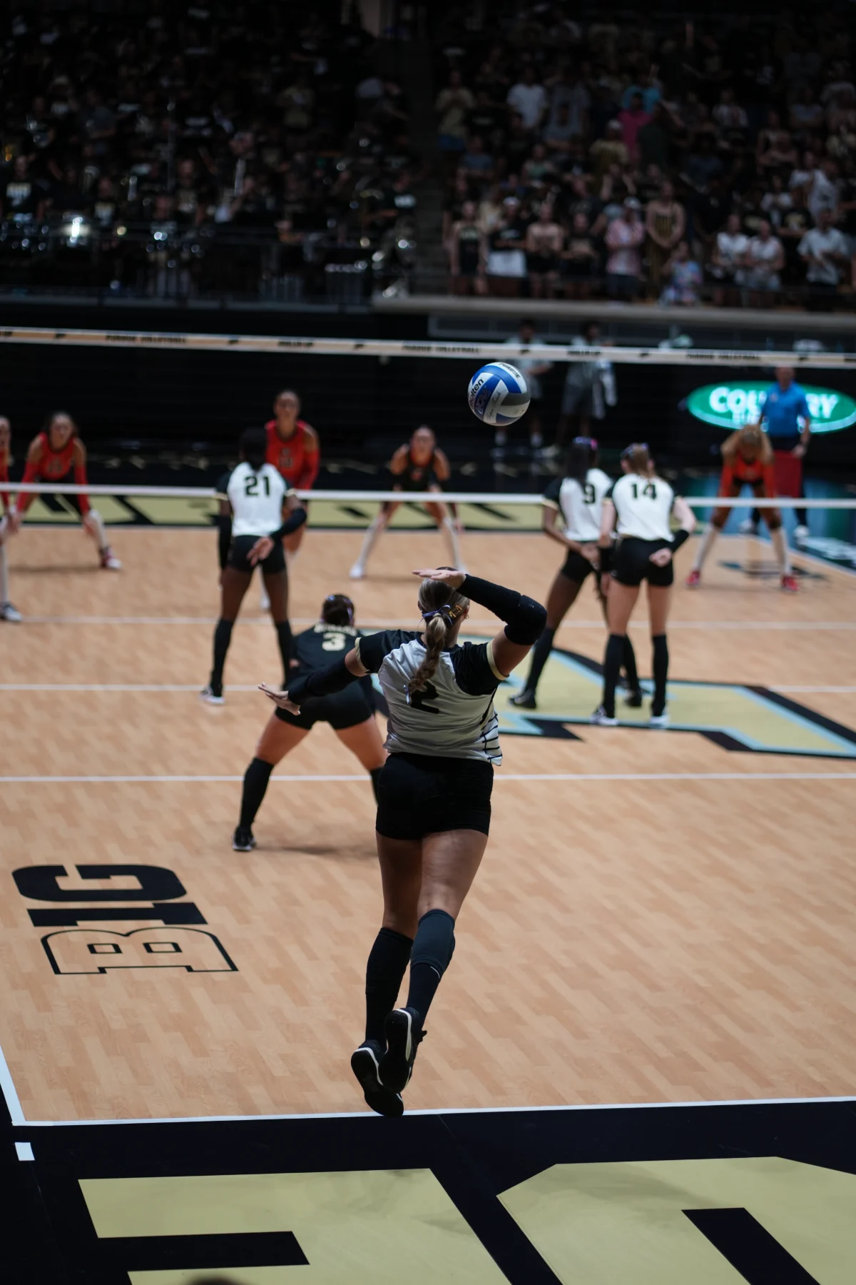 Purdue vs. Georgia, photograph 7