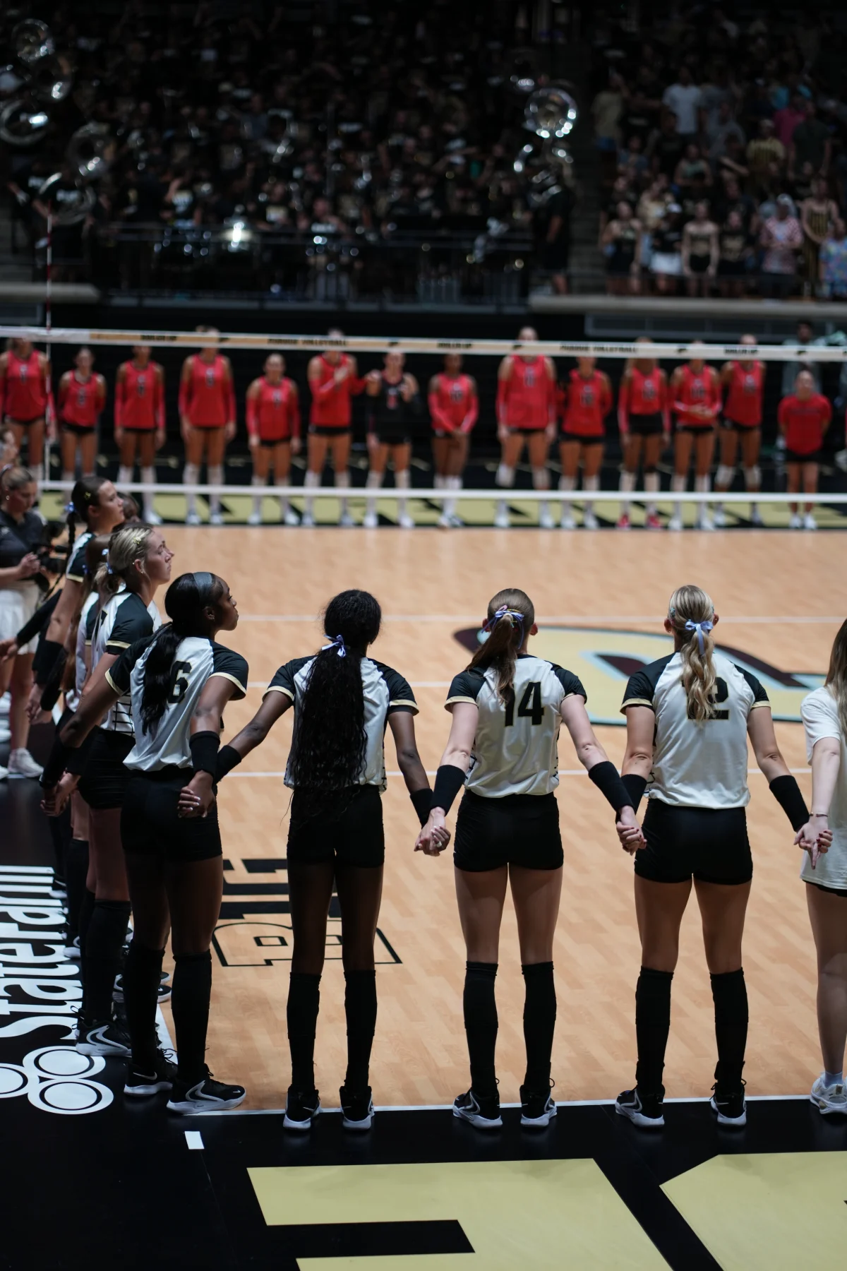 Purdue vs. Georgia, photograph 19