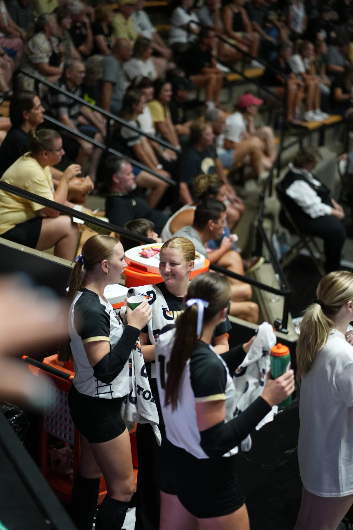 Purdue vs. Georgia, photograph 16