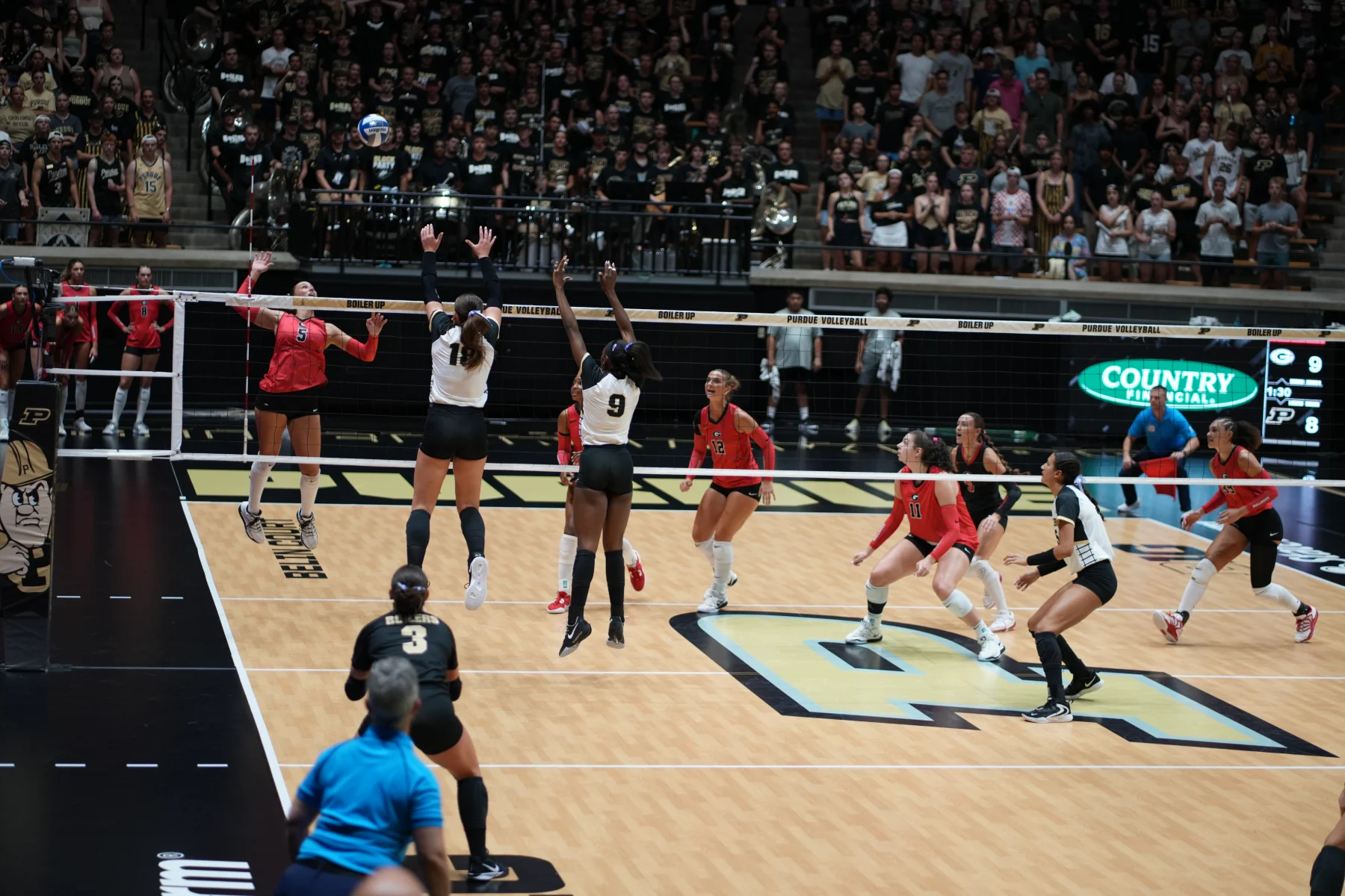 Purdue vs. Georgia, photograph 32