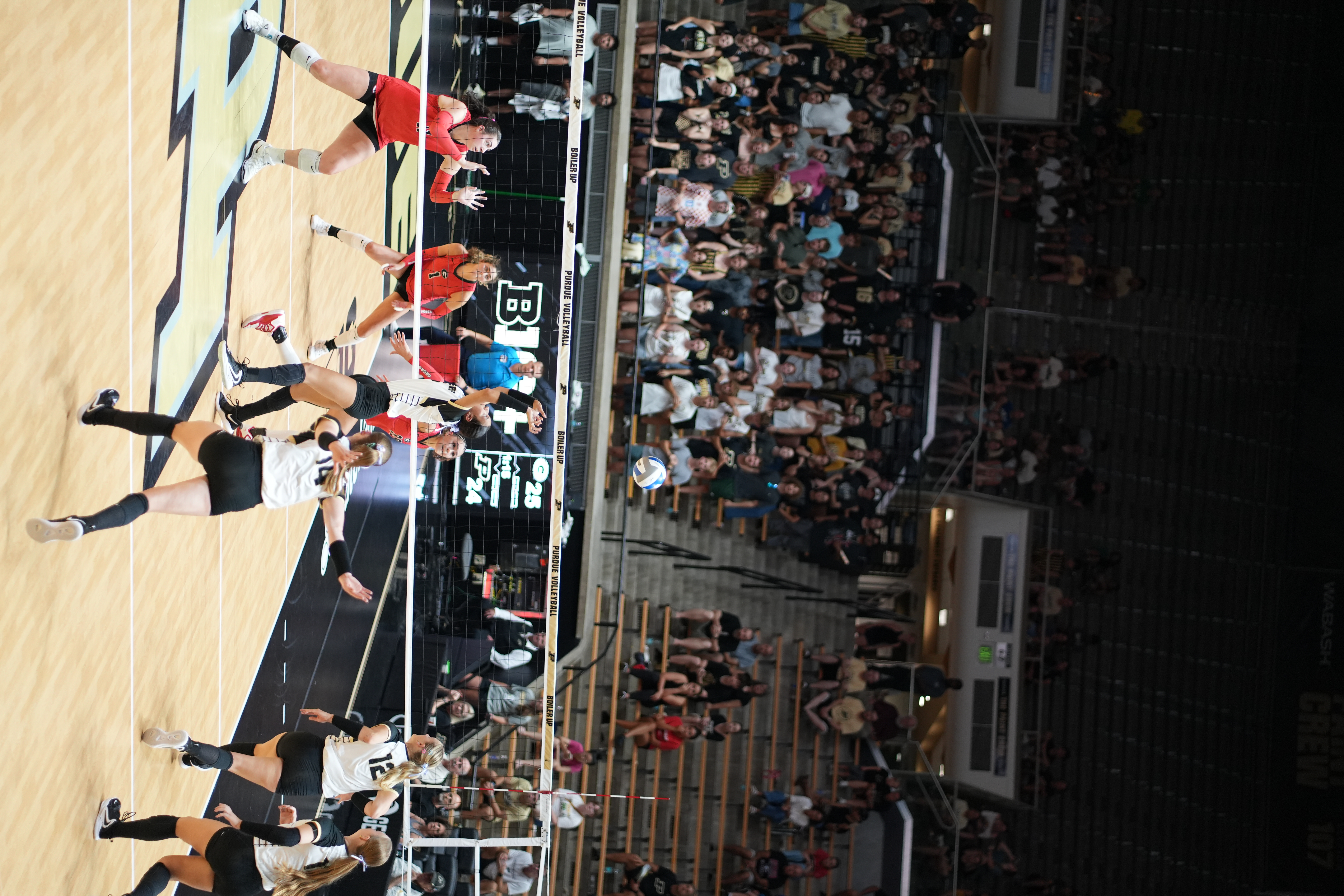 Purdue vs. Georgia, photograph 8