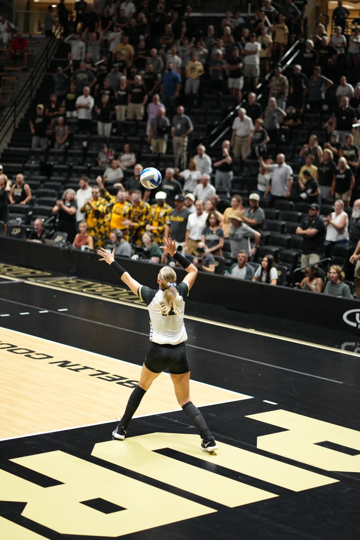 A server tosses the ball with the crowd on its feet behind her at Purdue.