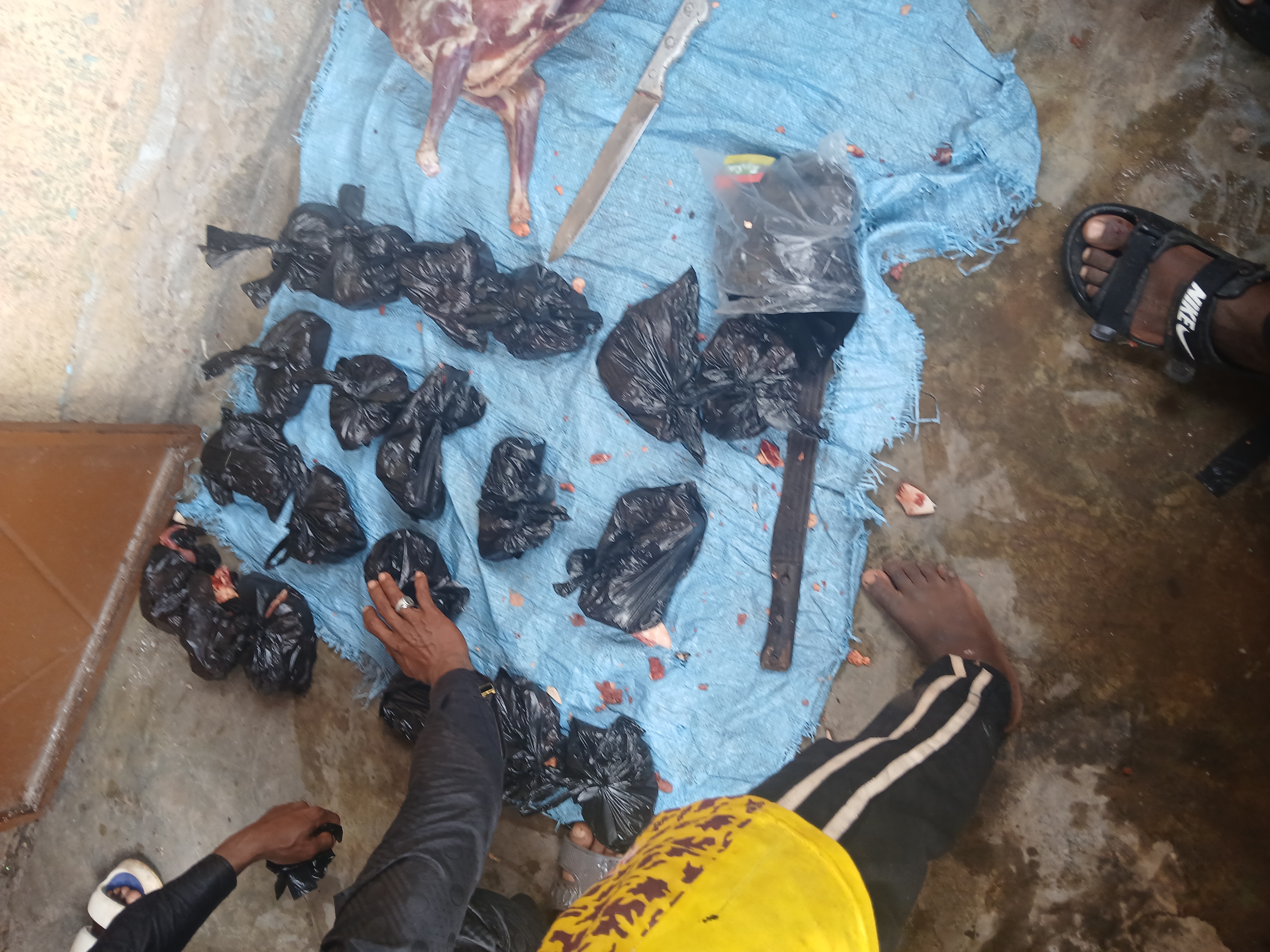 Sacrifice pour l'Aïd El Adha