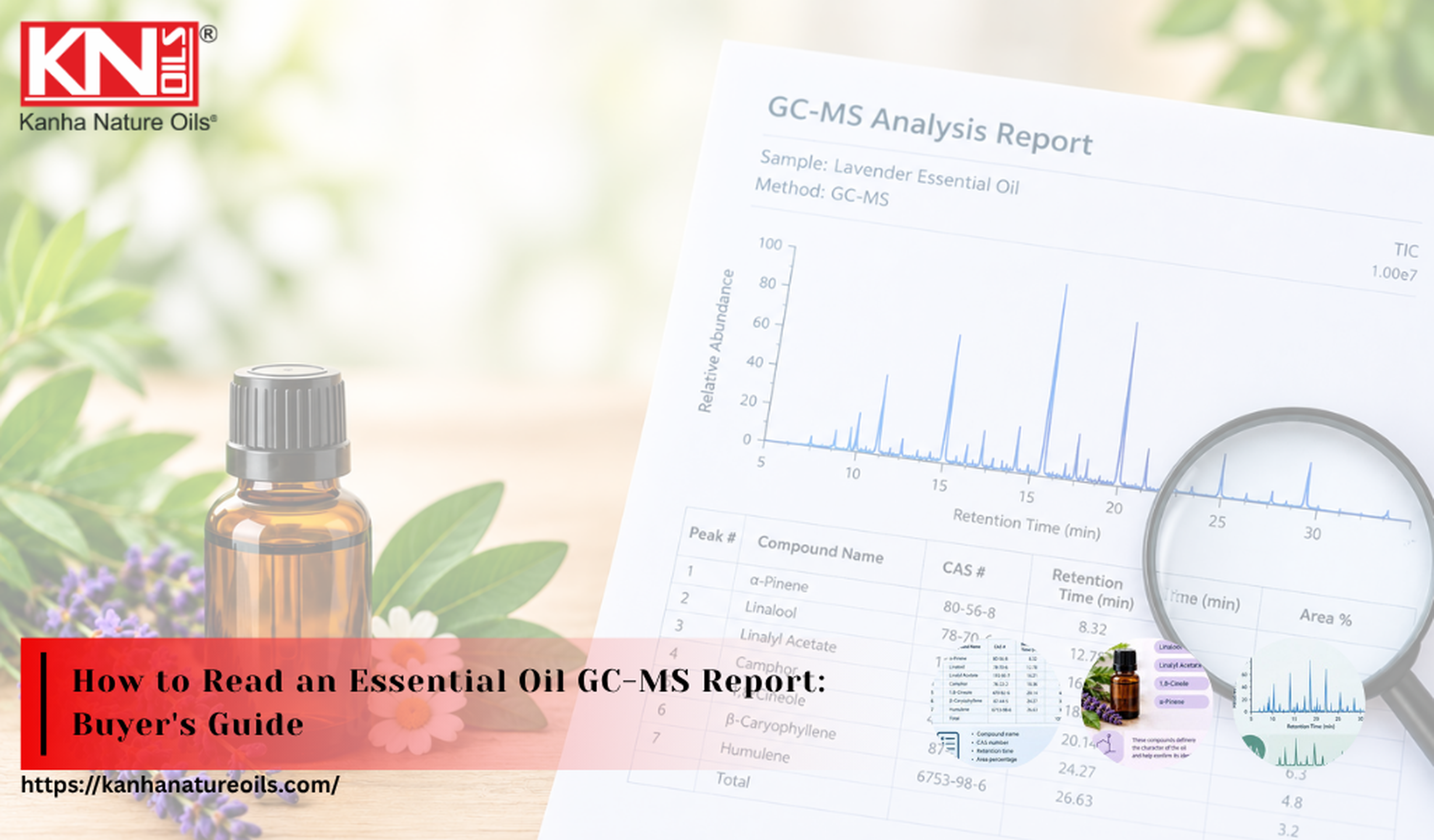 How to Read a GC-MS Report for Essential Oils: A Buyer’s Guide