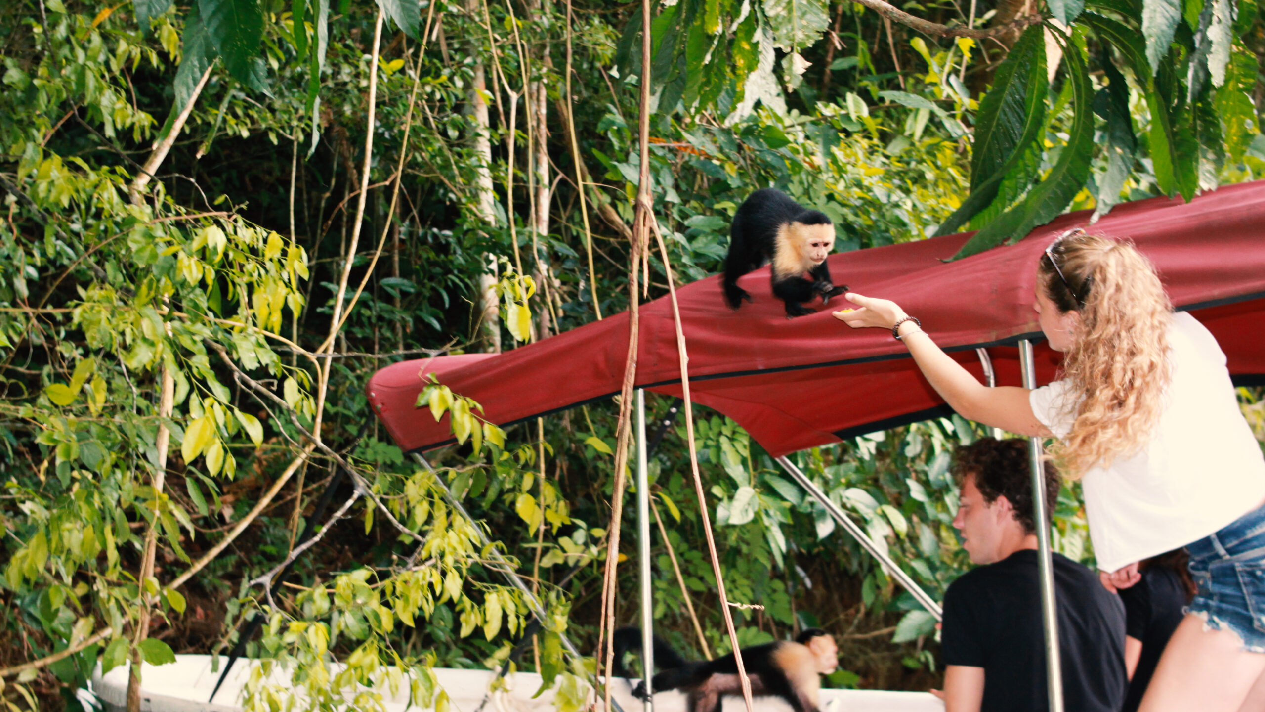 Expedicion a Isla Mono y Gatun