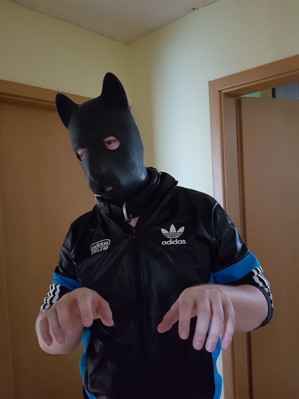 Die ersten Schritte background