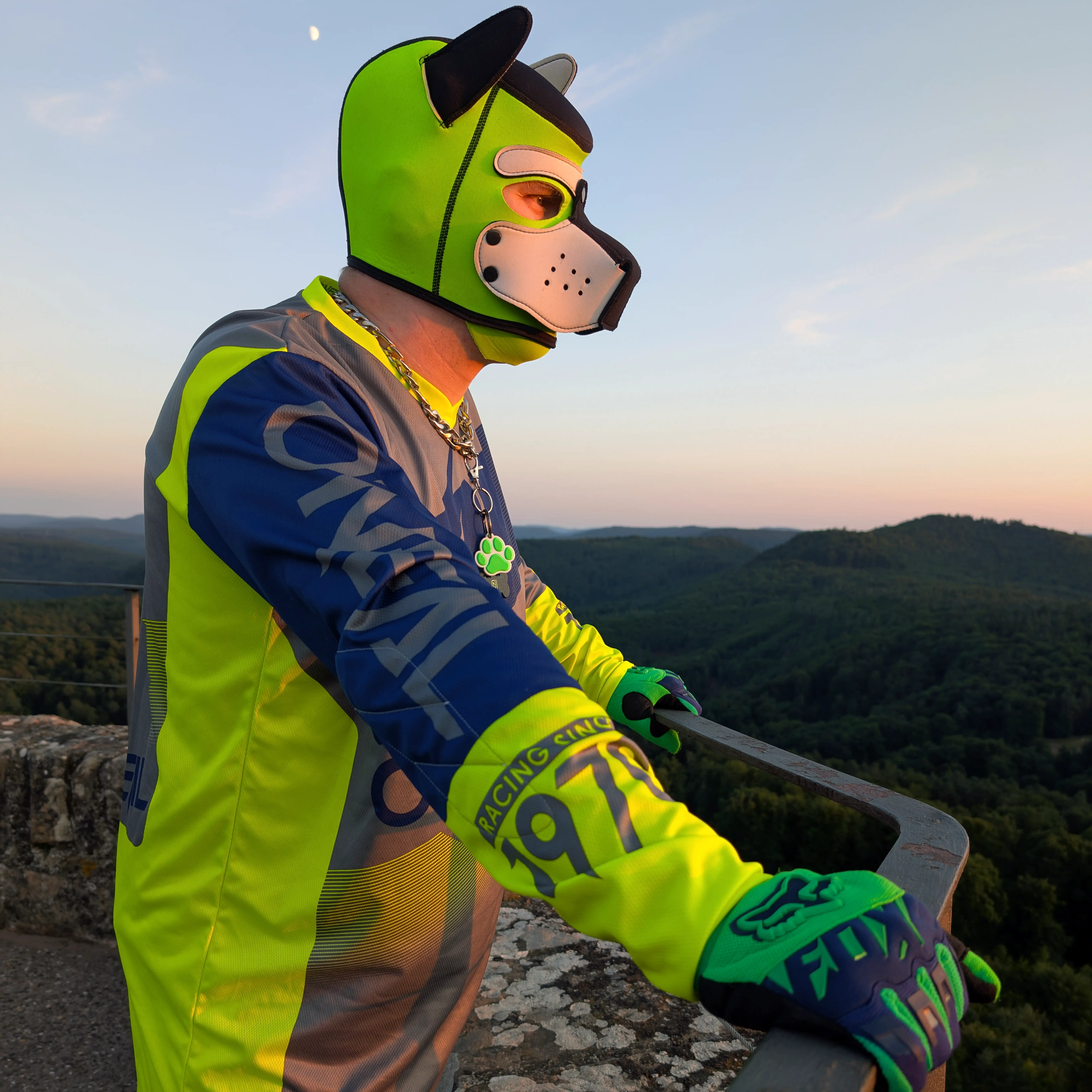 Puppy Timbo nachdenklich