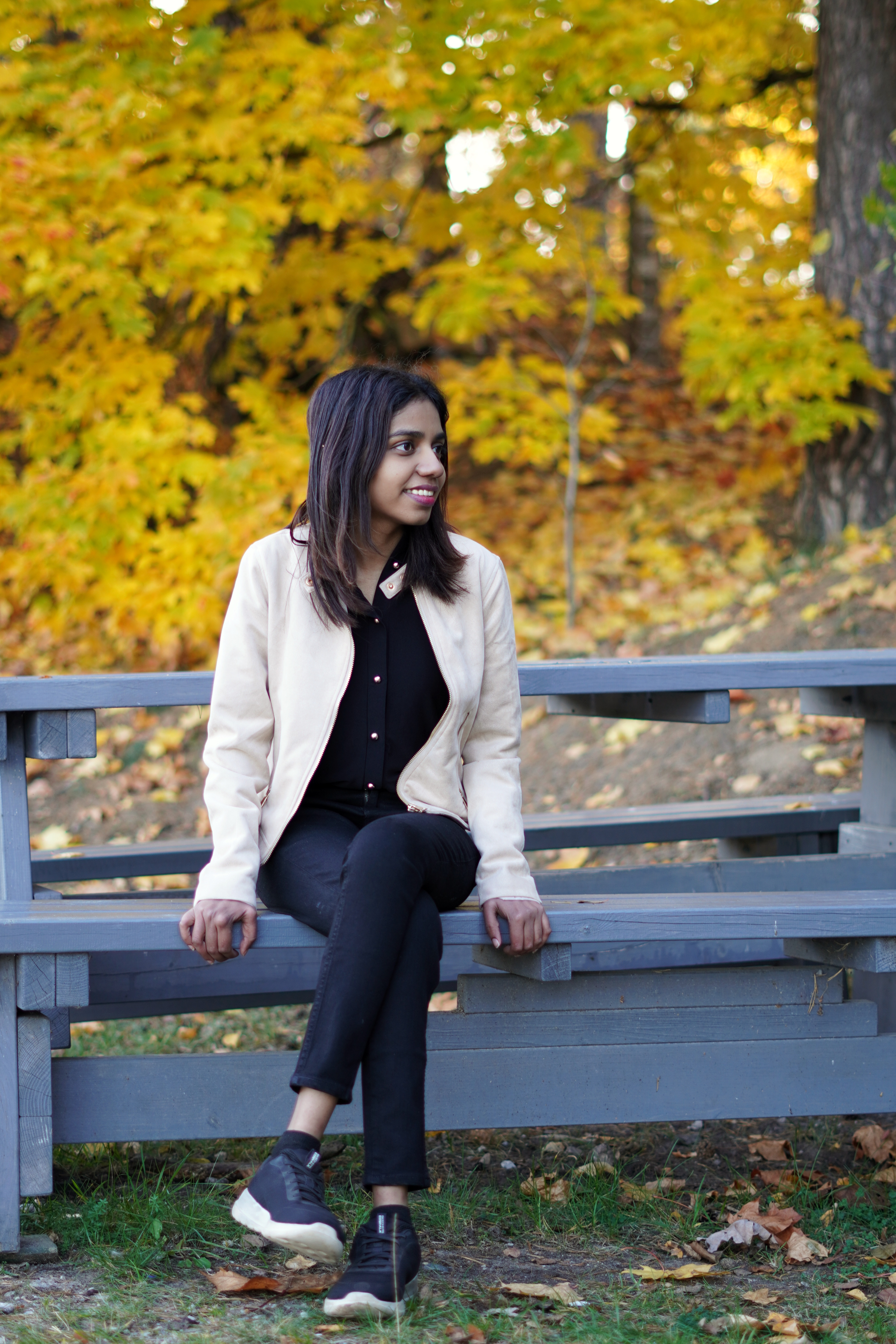 A sun-drenched sandy beach with gentle waves.