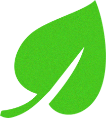 Randfontein Baptist Church Logo