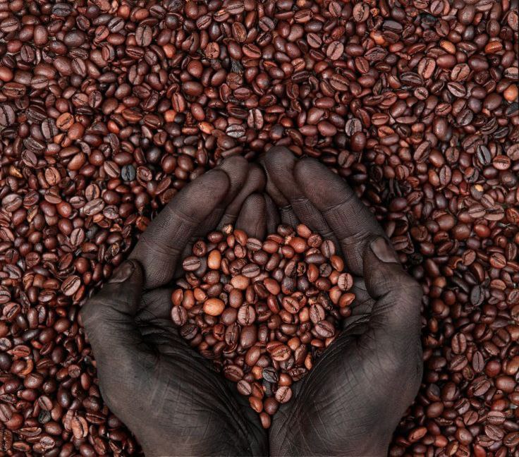 A cup of coffee on a wooden table, surrounded by coffee beans.