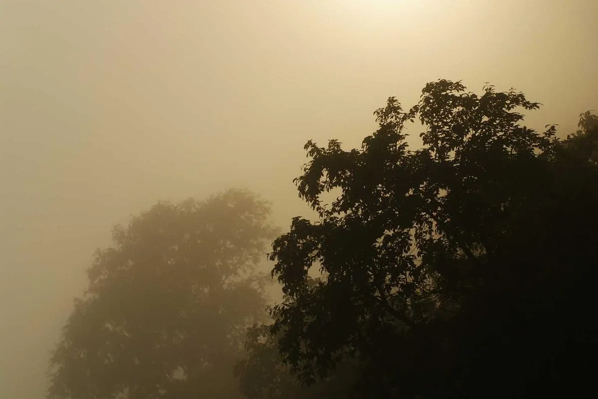 Tak Lagi Butuh Password, Windows 10 Bisa Dibuka Menggunakan Ponsel