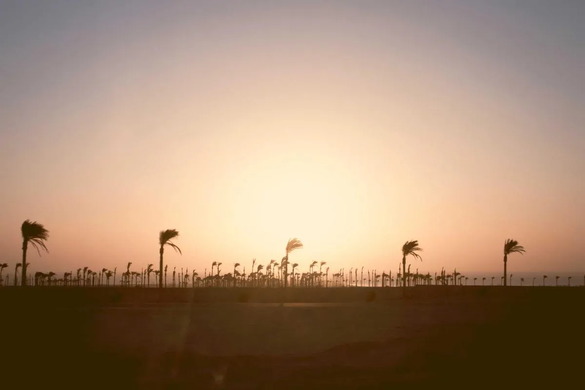 Omnichannel Reinvented: Analisis Tren Bulanan Brand di Surabaya